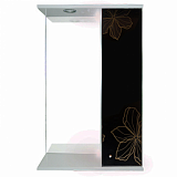 Зеркало-шкаф Iris Панда 550/с 3D Черные цветы