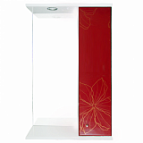 Зеркало-шкаф Iris Панда 550/с 3D Красные цветы